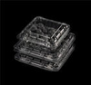 HSQY 4.92*4.92*1.38 Inches Disposable Square Clear Clamshell Produce Berry Container