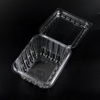 HSQY 4.92*4.92*1.38 Inches Disposable Square Clear Clamshell Produce Berry Container