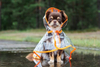 Plastic Soft Flexible Film Vinyl Sheet For PET Raincoat