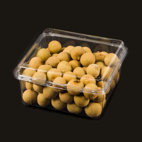 HSQY Recipiente de conchas quadradas de plástico para frutas PET transparente de 6,7 x 6,7 x 3,5 polegadas