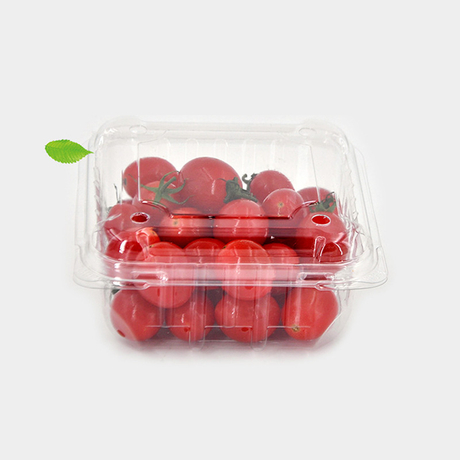 HSQY 5.1 X 5.1 X 2.6 Inch Clear PET Plastic Clamshells Food Container