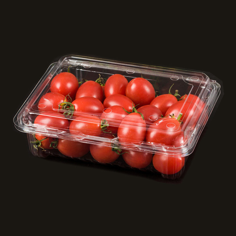 HSQY 6.9 X 5.3 X 2.2 Inch Clear PET Plastic Fruit Clamshells Container