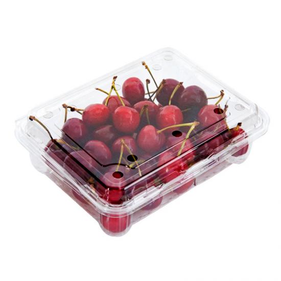 HSQY 8.07*6.1*3.94 Inches PET Fruit Box Disposable Rectangle Clear PET Plastic Tray