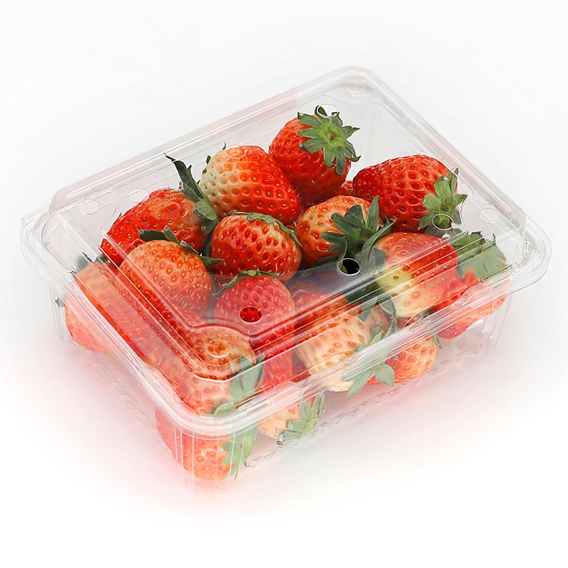 HSQY 7.48*6.1 Inches PET Fruit Box Disposable Rectangle Clear PET Plastic Tray