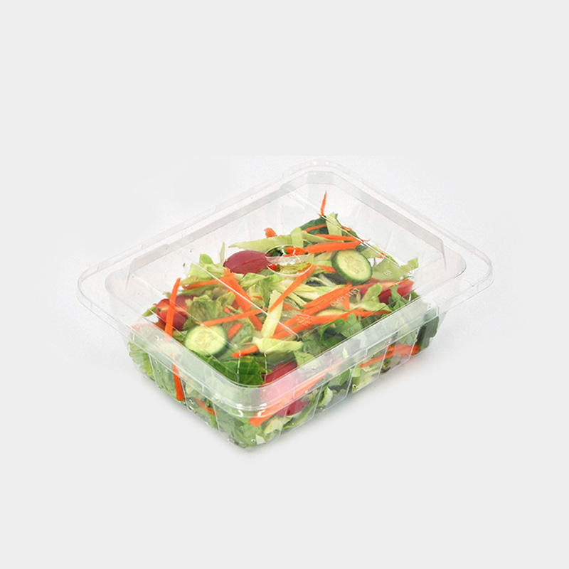 HSQY 9.1 X 7.3 X 2.6 Inch Clear Rectangle PET Plastic Salad Bowl Container With Lid