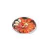 HSQY 10 x 1.18 Inch Round Sushi Party Tray Container with Lid