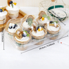 HSQY 1 2 4 6 12 24 Count Disposable Clear Plastic Cupcake Containers