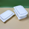 HSQY 9 x 6 x 3" White Polypropylene Plastic Hinged Lid Takeout Container