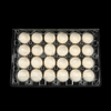 HSQY 24-count Clear Plastic Quail Egg Cartons Box