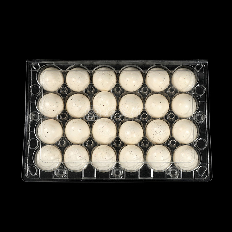 HSQY 24-count Clear Plastic Quail Egg Cartons Box