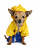 Plastic Soft Flexible Film Vinyl For PET Raincoat