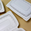 HSQY 9 x 6 x 3" White Polypropylene Plastic Hinged Lid Takeout Container