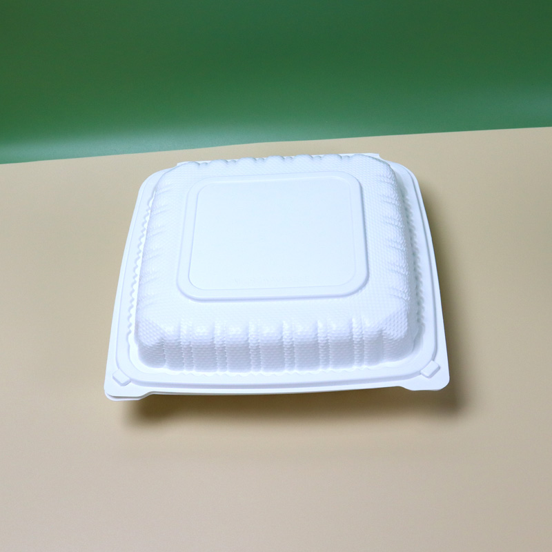 HSQY 9 x 9 x 3" White Polypropylene Plastic Hinged Lid Takeout Container