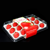 HSQY 9.6 X 6.7 X 2.1 Inch Clear PET Plastic Fruit Clamshells Container