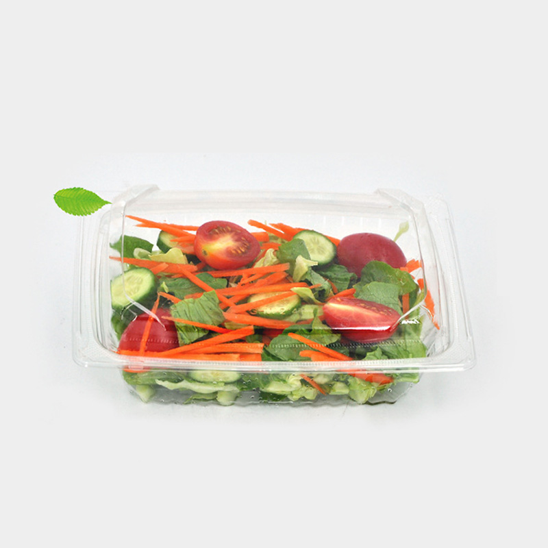 HSQY 9.1 X 7.3 X 2.6 Inch Clear Rectangle PET Plastic Salad Bowl Container With Lid