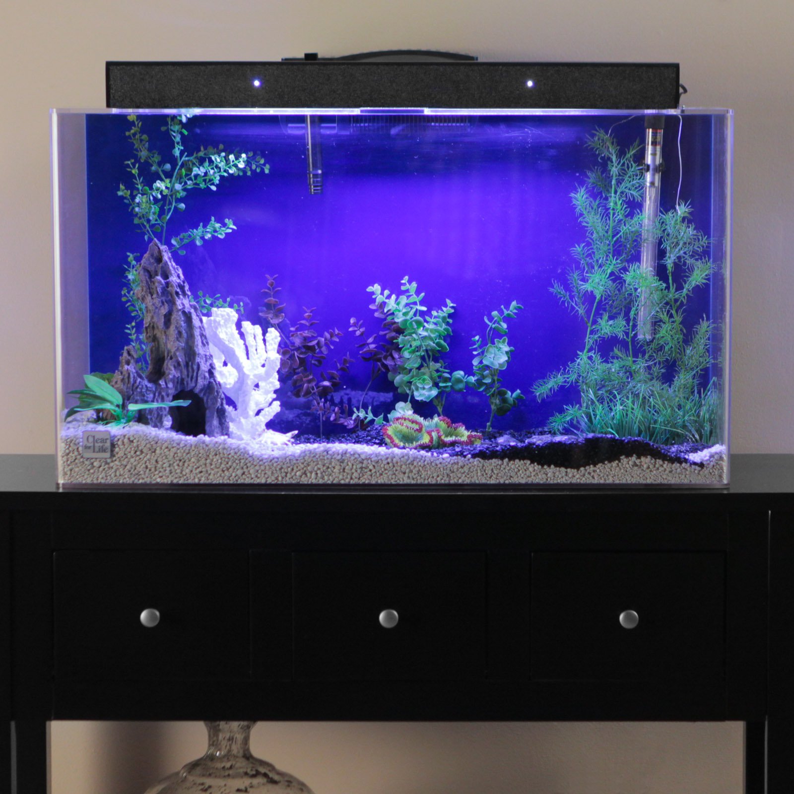 acrylic fish tank