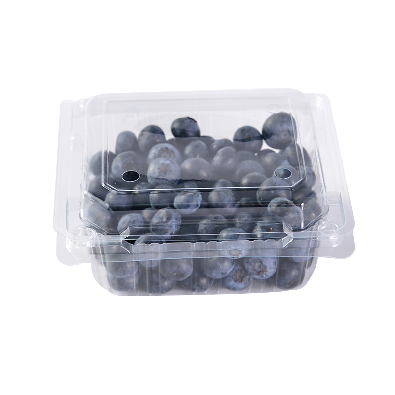 HSQY 4.25*4.17*1.61 Inches Disposable Rectangle Clear Clamshell Produce Berry Container