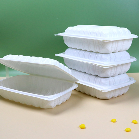 HSQY 9 x 6 x 3" White Polypropylene Plastic Hinged Lid Takeout Container