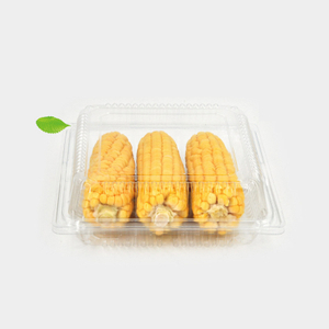 HSQY 8.8 X 8.8 X 3.1 Inch Clear Square PET Plastic Hinged Salad Bowl Container