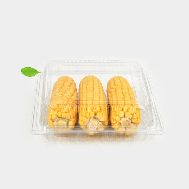 HSQY 8.8 X 8.8 X 3.1 Inch Clear Square PET Plastic Hinged Salad Bowl Container