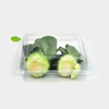 HSQY 8.8 X 8.8 X 3.1 Inch Clear Square PET Plastic Hinged Salad Bowl Container